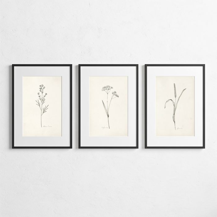wall-art-trio-001