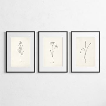 wall-art-trio-001